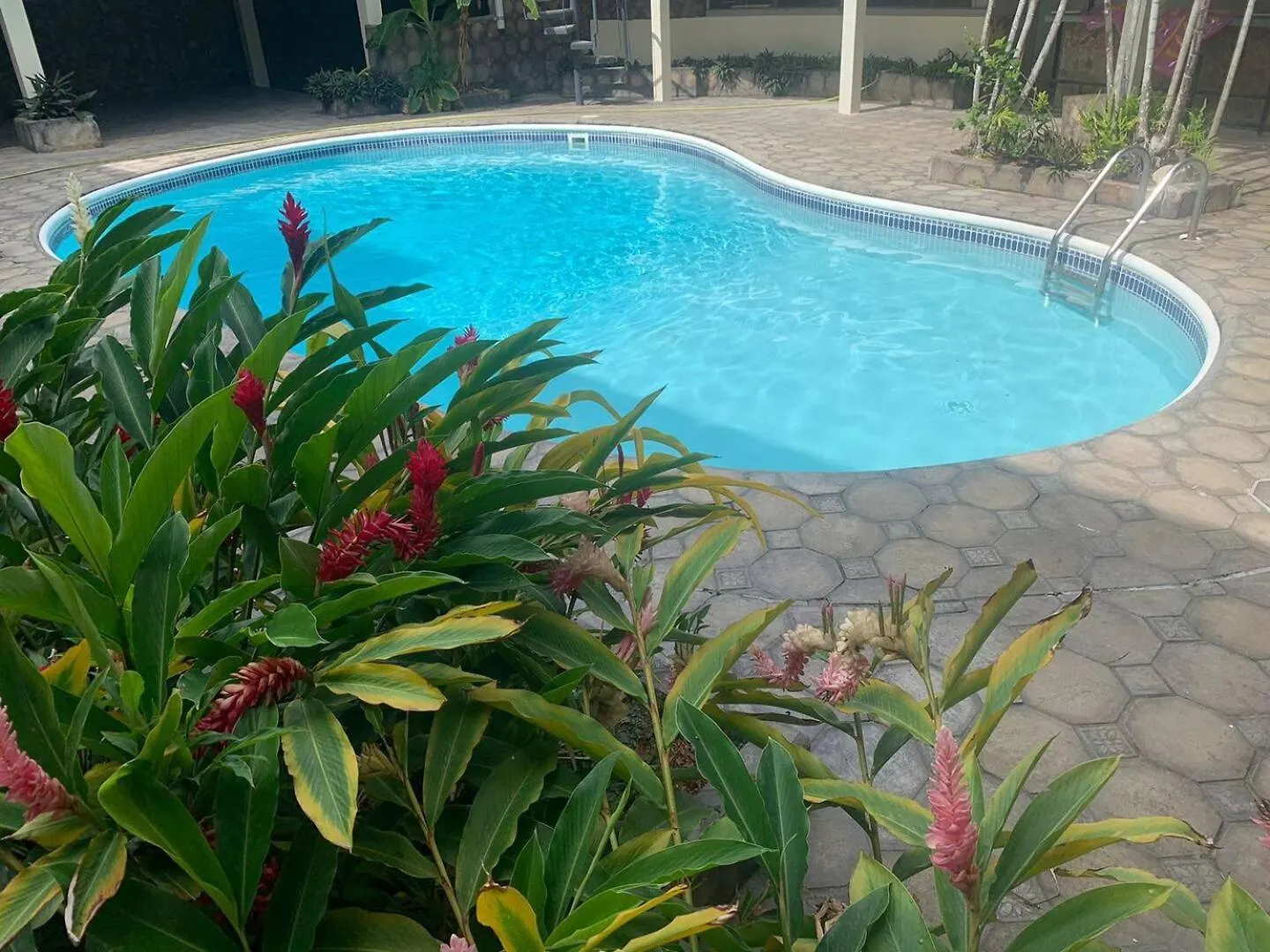 Villa Maria Port of Spain 0*,